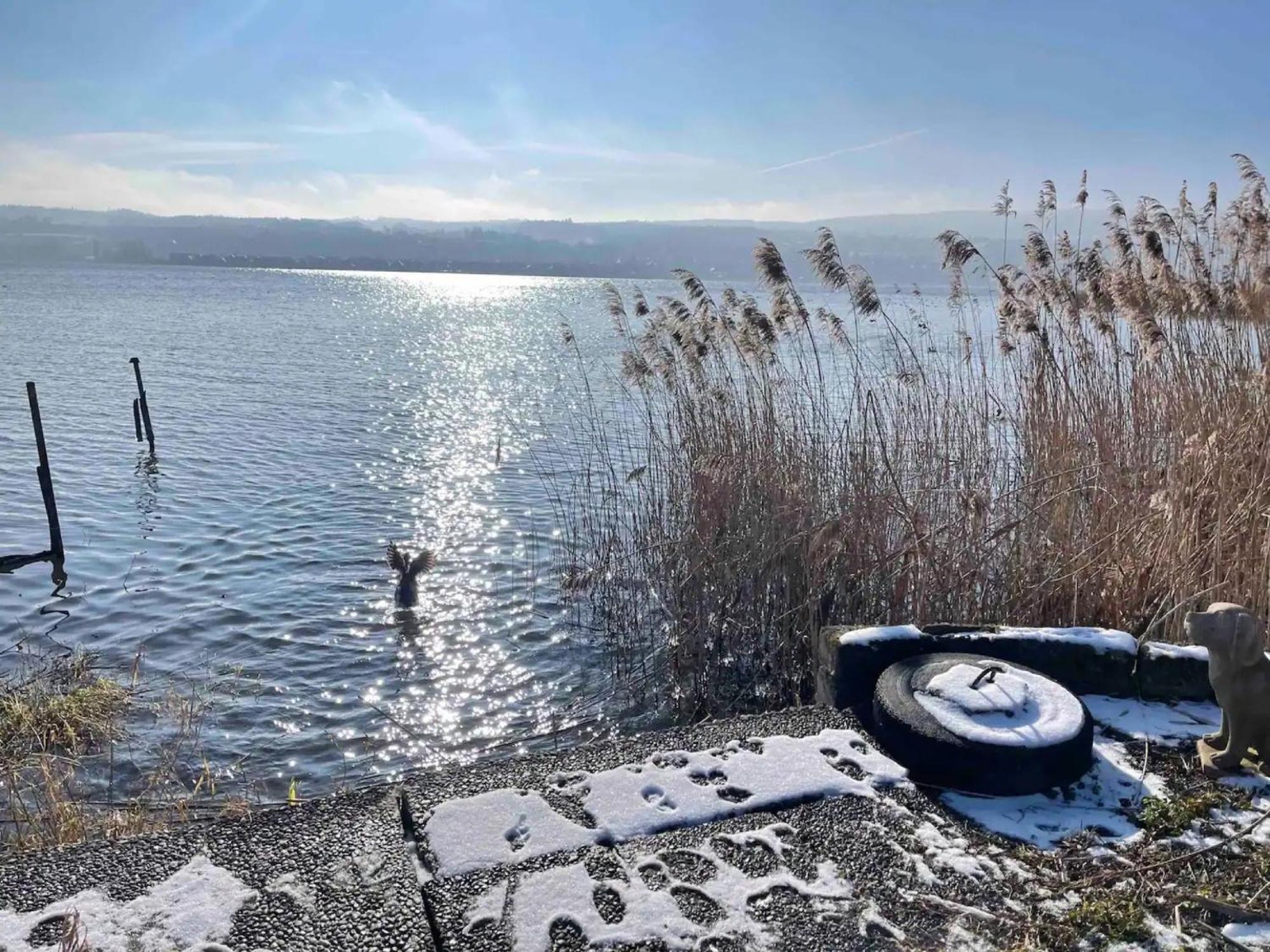Seeluft Direkt Am Wasser Reichenau Exterior photo